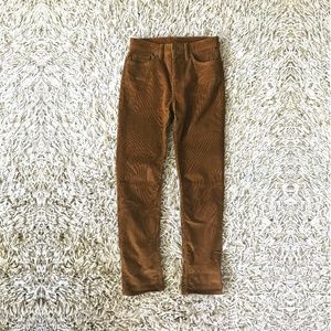 Patagonia Corduroy Pants